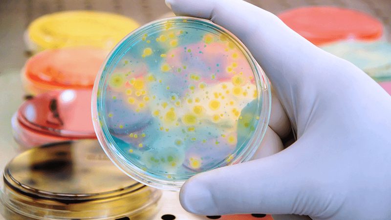 国产生物科技护肤品崛起：揭秘其背后的科技力量**