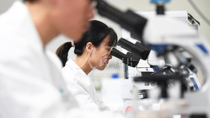 CRo平台收费标准解析：揭秘医药研发背后的成本谜题