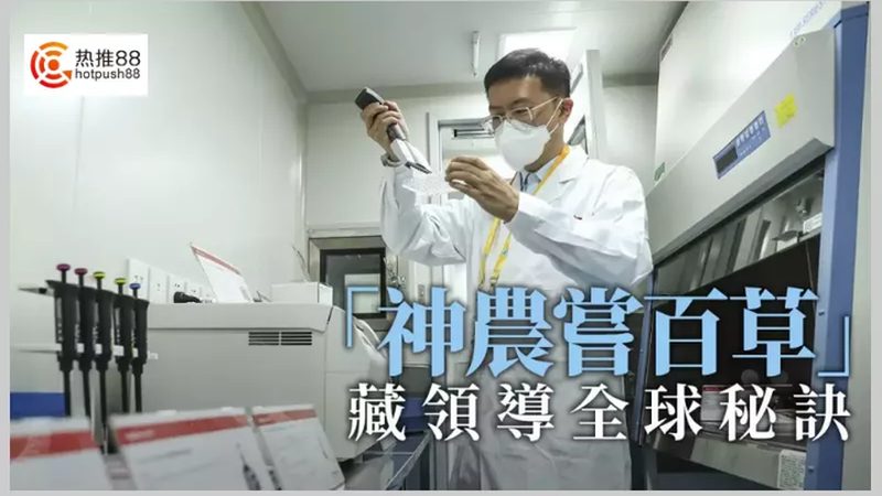 上海CDMO临床前研究：揭秘药物研发的关键一步