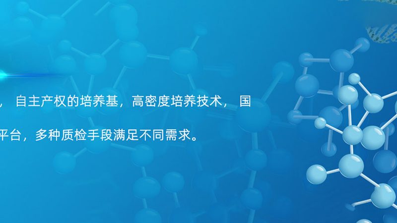 揭秘上海细胞工厂工艺流程：从上游到下游的关键环节