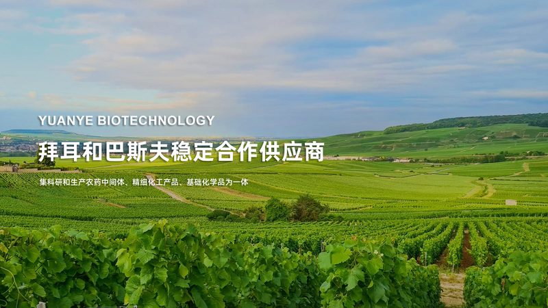 生物制剂冷链运输，温差一度都可能致命