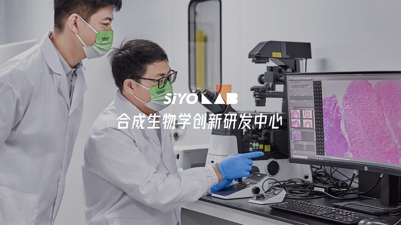 移液器售后合同：签订前需注意的五大关键点