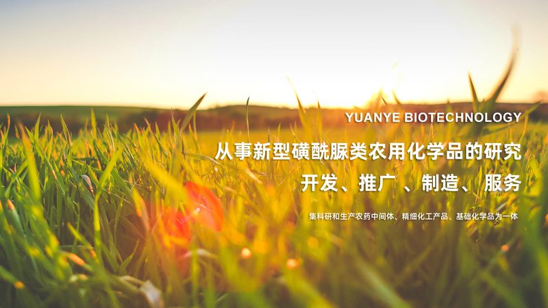 儿童智力基因检测：揭秘价格背后的价值**