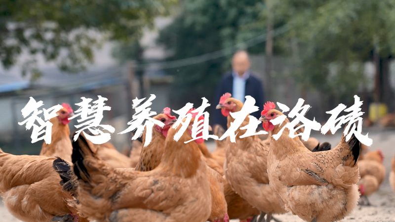 科研用细胞工厂：揭秘其核心要素与选型要点**