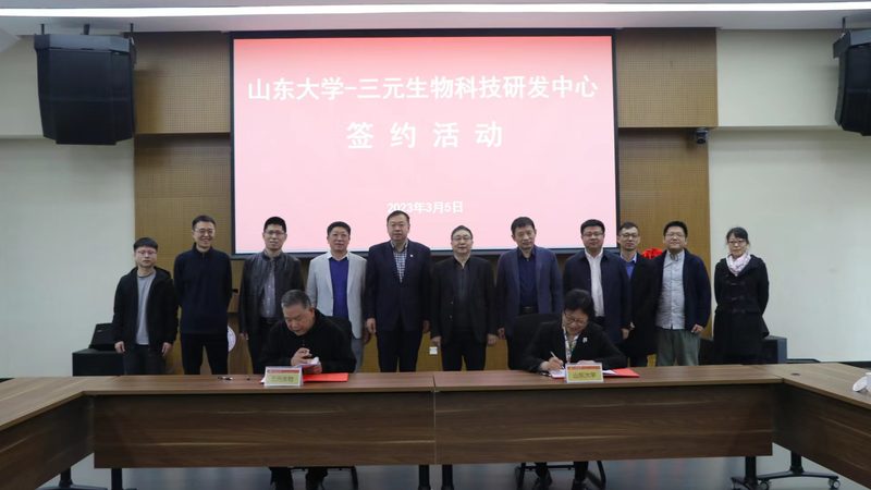 淀粉加工酶制剂：如何精准选型，提升加工效率**