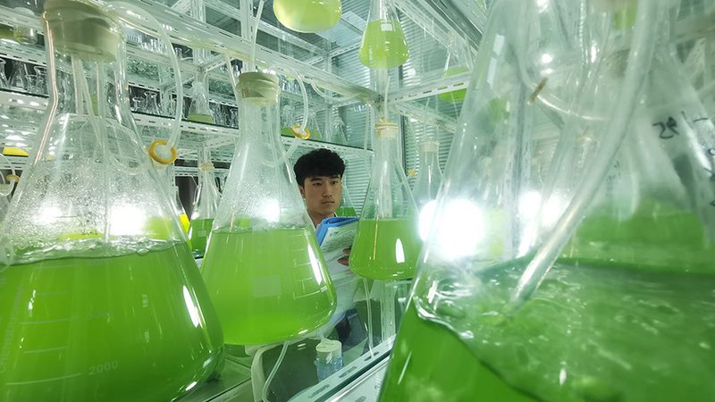 实验室耗材品牌对比：如何从细节中看出门道